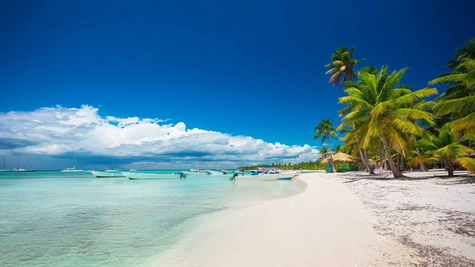 tu agencia de viajes ibagué